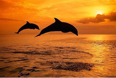 《黑相集：心中魔》公布角色预告 作出选择决定存活