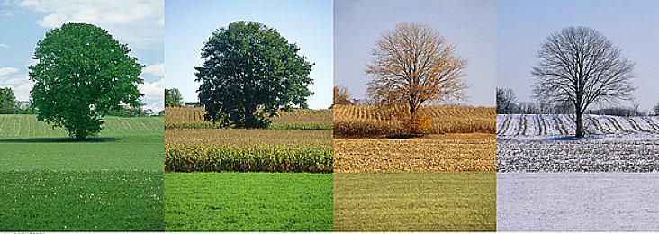 模拟生存建造游戏“鼠鼠版缺氧” 《鼠托邦》正式版将于5月1日Steam发行