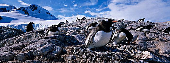 《心灵杀手2》Xbox Series S没有60FPS性能模式